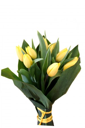 Bouquet Tulipas IA